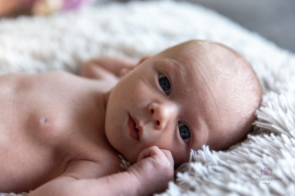 hjemmefoto baby - babyen ser inn i kamera på Fotograf Linn Landmark